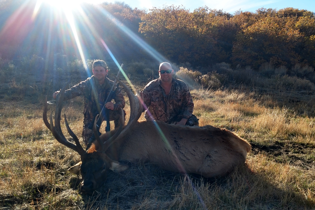High Fence & Free Range Elk Hunts in Colorado trophy elk hunt